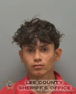 Mugshot of ELI ANDERO