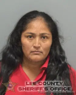Mugshot of VERONICA SOTO GONZALEZ