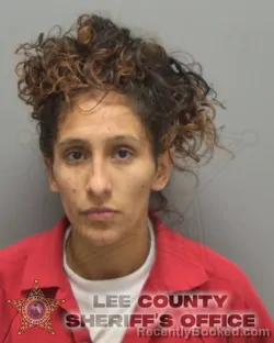 Mugshot of JOAN ELENIA SALGADO