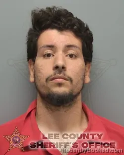 Mugshot of LEVI JR. VASQUES VIDAL