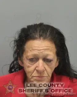 Mugshot of VALERIE K HNETKOVSKY