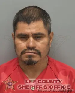Booking photo from Lee County, Florida