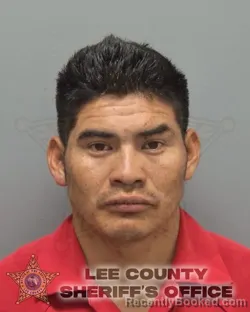 Booking photo from Lee County, Florida