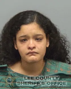 Booking photo from Lee County, Florida