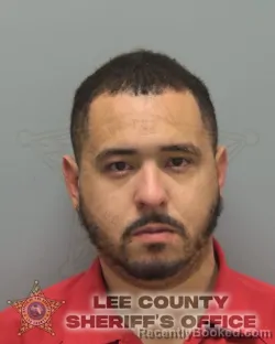 Booking photo from Lee County, Florida