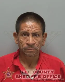 Booking photo from Lee County, Florida