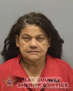 Booking photo from Lee County, Florida