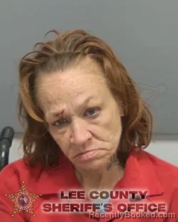 Booking photo from Lee County, Florida