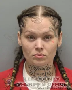 Booking photo from Lee County, Florida