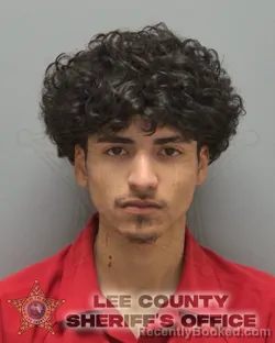 Mugshot of ANTHONY JAMES NEAULT