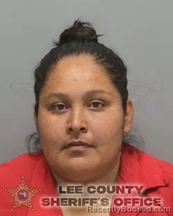 Booking photo from Lee County, Florida