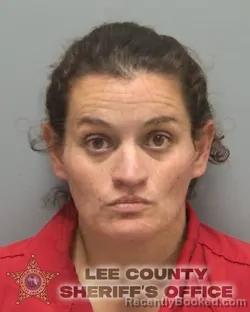 Mugshot of CRYSTAL NICHOLE SKINNER