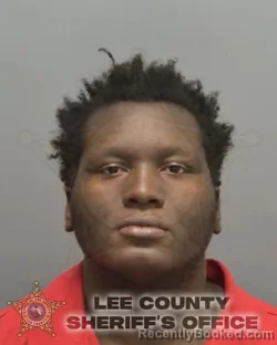 Booking photo from Lee County, Florida