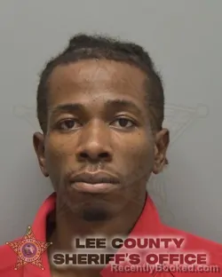 Mugshot of JODANY DELICE