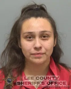 Booking photo from Lee County, Florida
