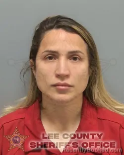 Mugshot of STEFANY ANDREINA PINERO HANNA