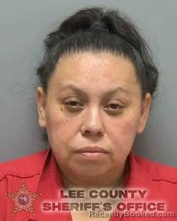 Booking photo from Lee County, Florida
