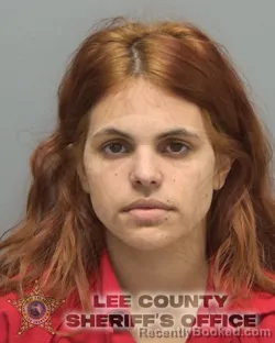 Mugshot of CYNTHIA ISABEL FERNANDEZ SANTIESTEB