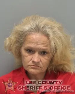 Mugshot of LIESA MARIE GALL