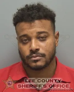 Mugshot of WILLIE JAMES JR LIDDELL booked in Lee County, Florida on March 10, 2026