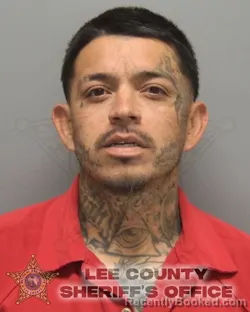 Mugshot of BRANDON DANILO ESTEBAN booked in Lee County, Florida on March 12, 2026