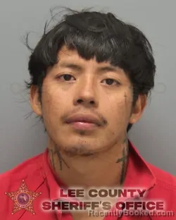 Mugshot of DOMINGO FELIX FRANCISCO booked in Lee County, Florida on March 24, 2026