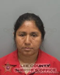 Mugshot of JUANA PUENTES VELASQUEZ booked in Lee County, Florida on March 28, 2026