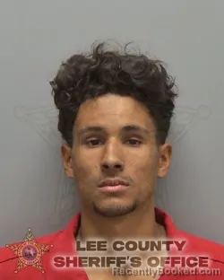 Mugshot of DAVID CASTILLO booked in Lee County, Florida on April 29, 2026