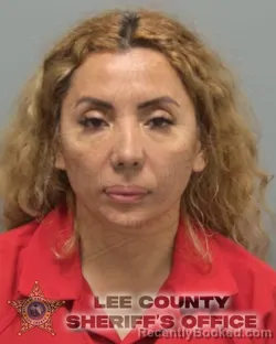 Booking photo from Lee County, Florida