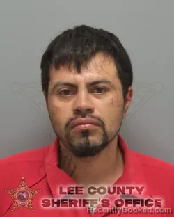 Mugshot of JAYSON MOJICA booked in Lee County, Florida on May 6, 2026
