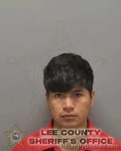 Mugshot of WALDEMAR LEONEL DOMINGO RUIZ booked in Lee County, Florida on May 13, 2026