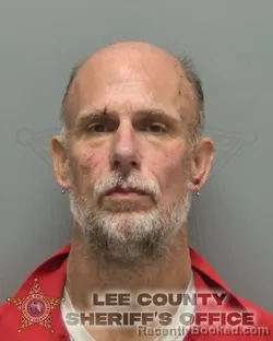 Mugshot of STEPHEN WESLEY JR DANNIC booked in Lee County, Florida on May 17, 2026