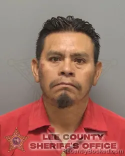 Mugshot of DOMINGO MATEO PEDRO ALVARADO booked in Lee County, Florida on May 21, 2026