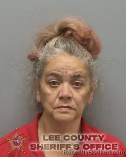 Mugshot of MARILYN CASTRO booked in Lee County, Florida on May 22, 2026