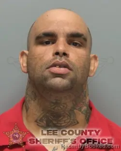 Booking photo from Lee County, Florida