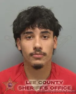Booking photo from Lee County, Florida