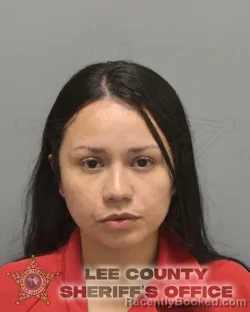 Mugshot of JULIETH ANDREA CASTILLO BERMUDEZ booked in Lee County, Florida on June 11, 2026