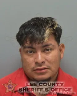 Mugshot of ISAIAS MIGUEL booked in Lee County, Florida on June 20, 2026