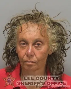 Mugshot of MICHELLE HORTENZA VIDU booked in Lee County, Florida on June 25, 2026