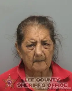 Mugshot of MARY HELEN SOLIZ booked in Lee County, Florida on July 9, 2026