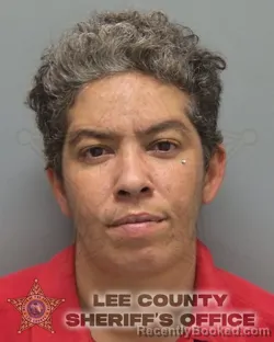 Mugshot of Ashlee Alexandra Henderson booked in Lee County, Florida on August 18, 2026