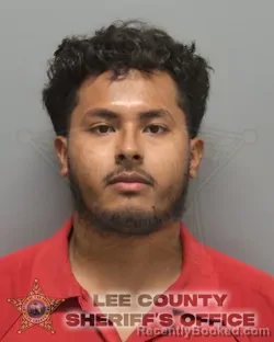 Mugshot of Alexis Hernandez-Cruz booked in Lee County, Florida on August 21, 2026