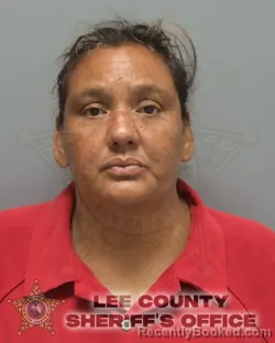 Mugshot of Amanda Linda Martinez Carrillo booked in Lee County, Florida on August 22, 2026
