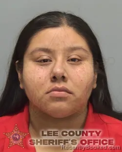 Mugshot of Brenda Natalia Mejia-Perez booked in Lee County, Florida on August 22, 2026