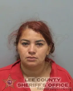 Mugshot of Norma Rosibel Posas-Mejia booked in Lee County, Florida on August 24, 2026