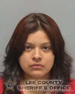 Mugshot of Lesli Tomas Samayoa booked in Lee County, Florida on August 25, 2026