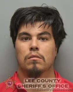 Mugshot of Gael Flores booked in Lee County, Florida on August 25, 2026