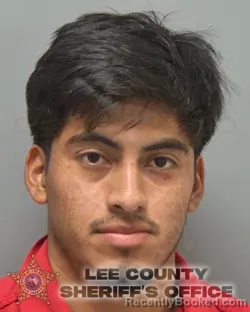 Mugshot of Mateo Sebastian Francisco booked in Lee County, Florida on August 27, 2026