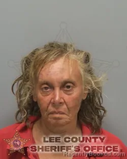 Mugshot of Michelle Hortenza Vidu booked in Lee County, Florida on August 28, 2026