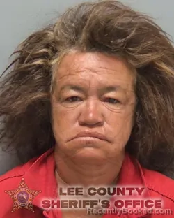 Mugshot of Rosa Ivette Cintron Figueroa booked in Lee County, Florida on August 28, 2026
